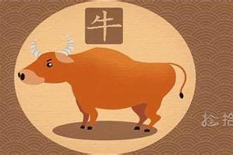 二十四节气立秋出生的女孩名字最好怎么取名