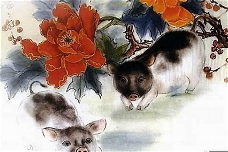 属猪婚配最佳属相最旺猪的是什么生肖？
