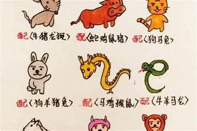 金木水火土五行婚配表