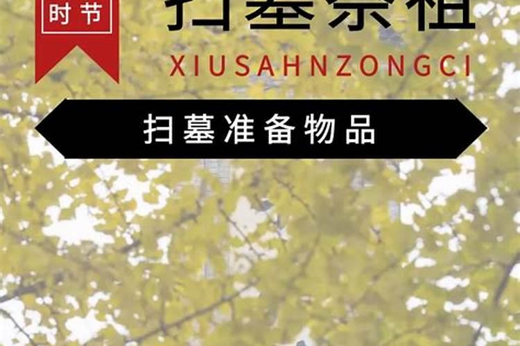 清明节征文,8001000字左右,速度