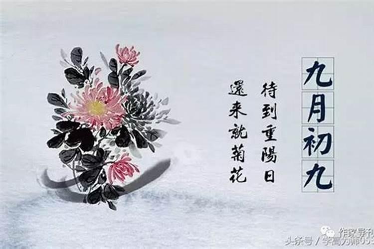 重阳节名人名言 关于重阳节的名人名言
