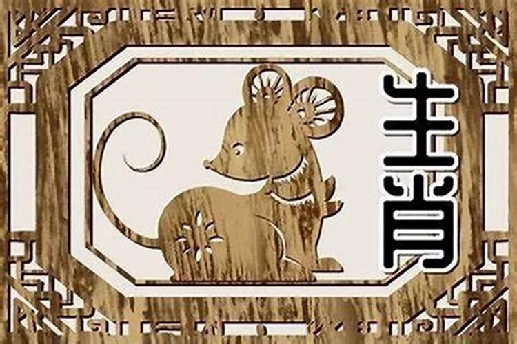 羊和鼠的属相合不合