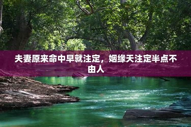 古代清明节有什么风俗传统