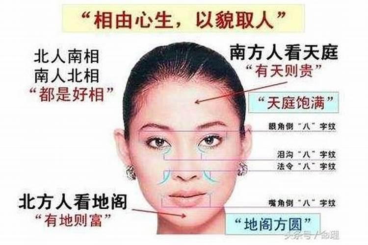 夏至时开什么花