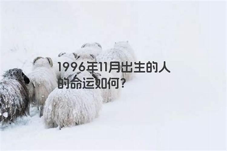 1996属鼠的运势和财运,1996年属鼠人适合发展的方位