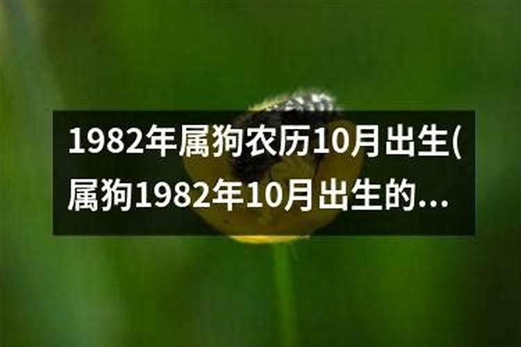 可以提前十几天贴春联吗