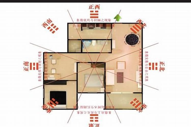 1984年2025年属鼠人的全年运势