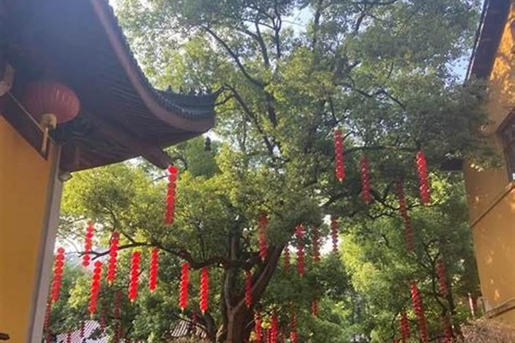 怎样补财库