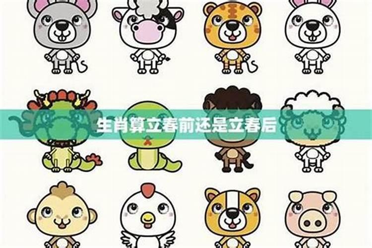 99年2月属什么
