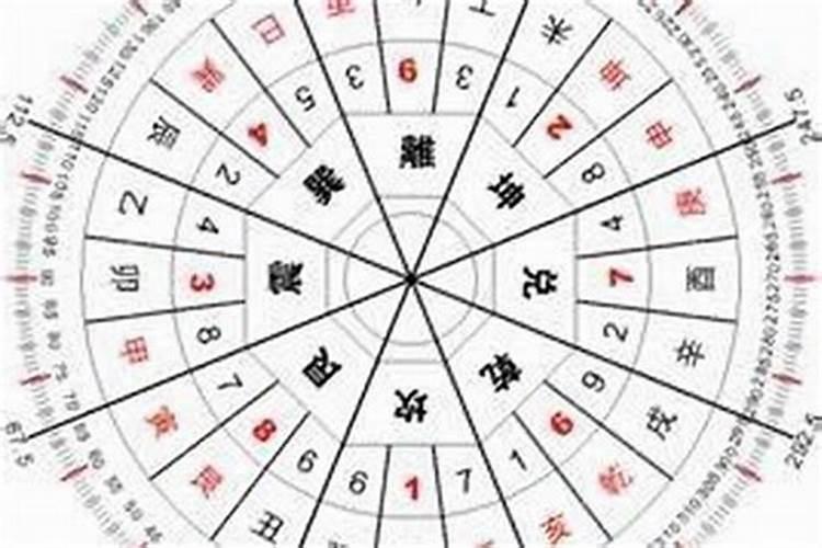 属鼠最忌讳的三个生肖 生肖鼠的忌配生肖大揭秘？