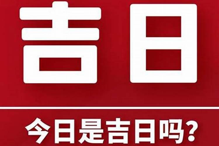 属狗人一生运势,属狗的命运好不好