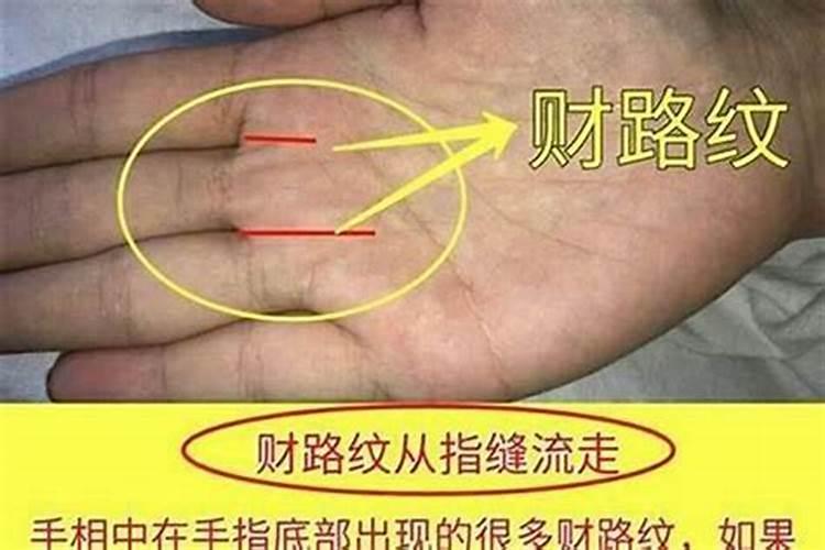 梦见去世的人又活了是什么意思