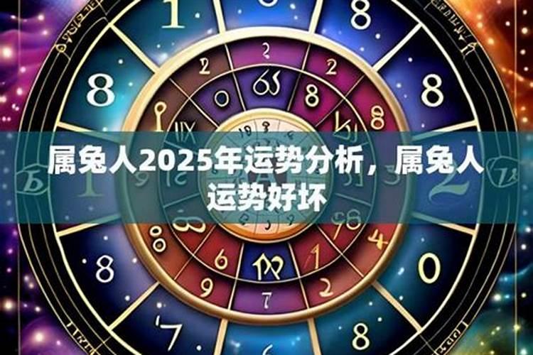 2025年属猪的全年运势