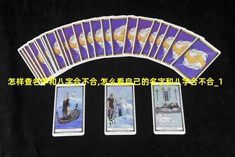 11月20号属狗出生日的命运解析