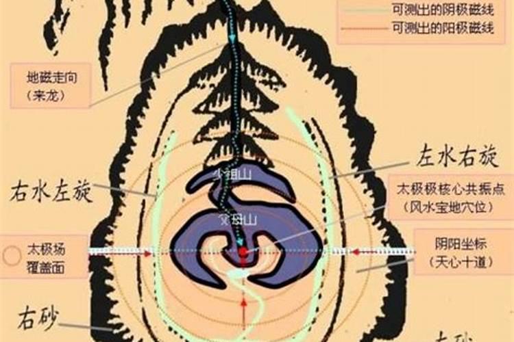 本人男的,生肖属鼠,1984年农历冬月初五,中午12:00点出生,五行属什么...
