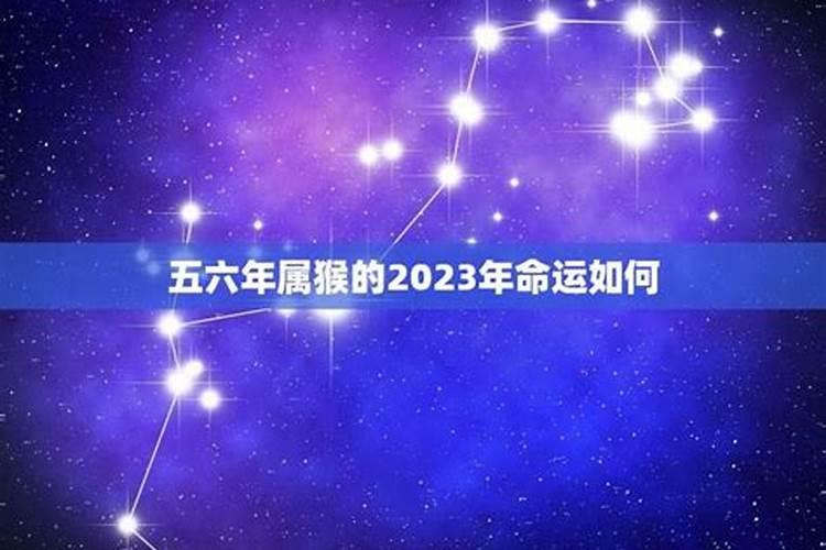 93年属鸡人2025年运势如何