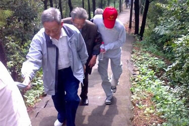 大冬是立冬还是冬至