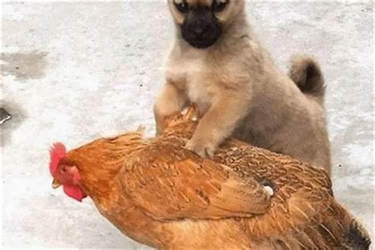 桃花煞、红艳煞  酒色猖狂,只为桃花带杀