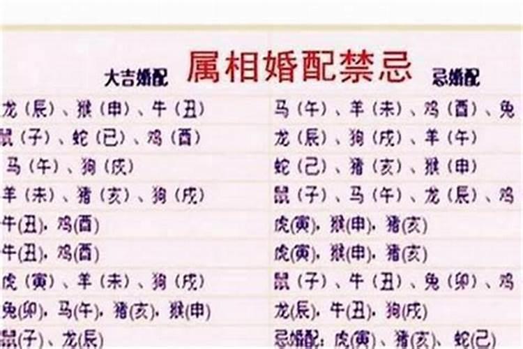 关于端午节的优美开头结尾