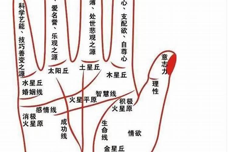 三月三为什么要做绣球？三月三抛绣球的含义