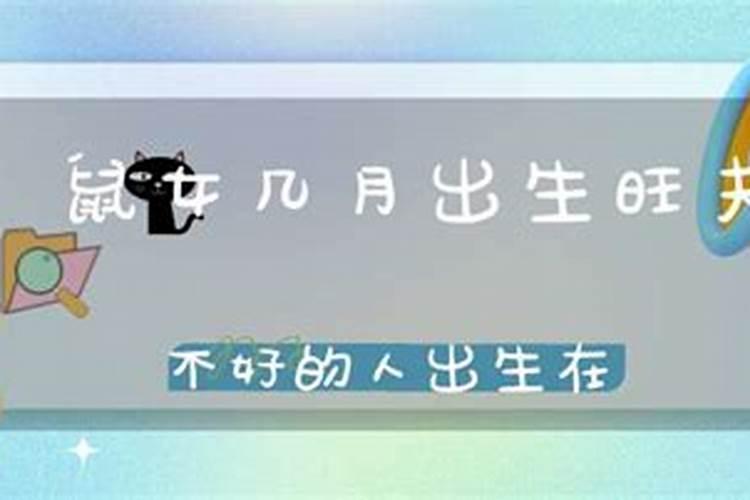 94年属什么？