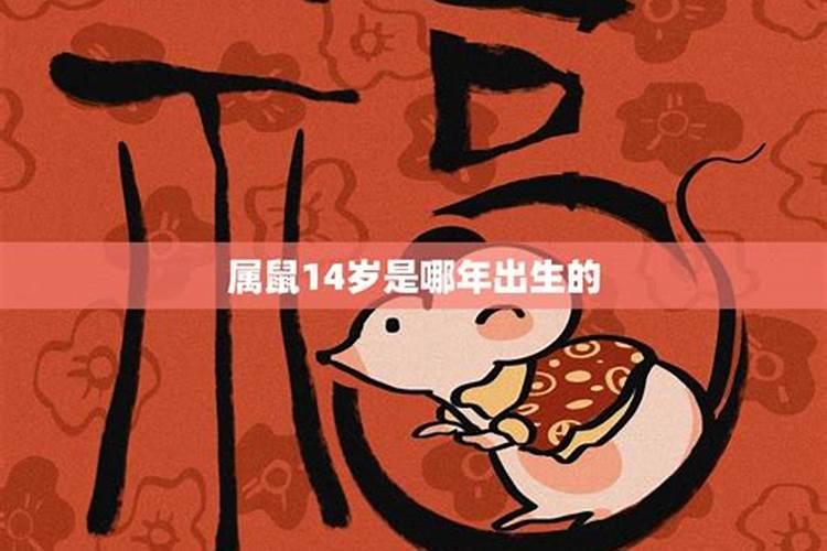 夏至节气的特点和风俗