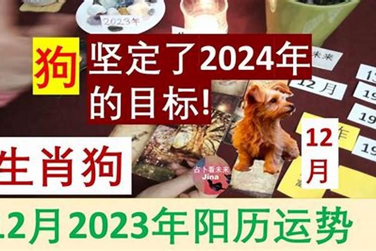 1970年属狗男士(55岁)2025年运势透视,看看每个月的好运
