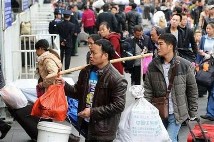 为什么说属羊的命不好