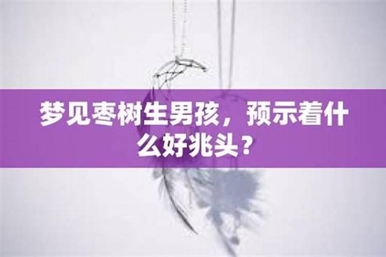 72年女属鼠2021年每月运程