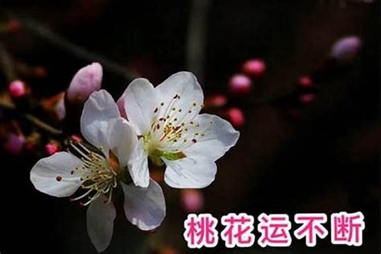 八字测开业吉日2024年5月开业最吉利的日子？