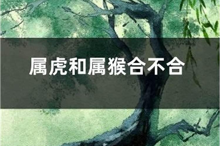 梦见马桶坏了什么意思 梦见马桶坏了预兆什么