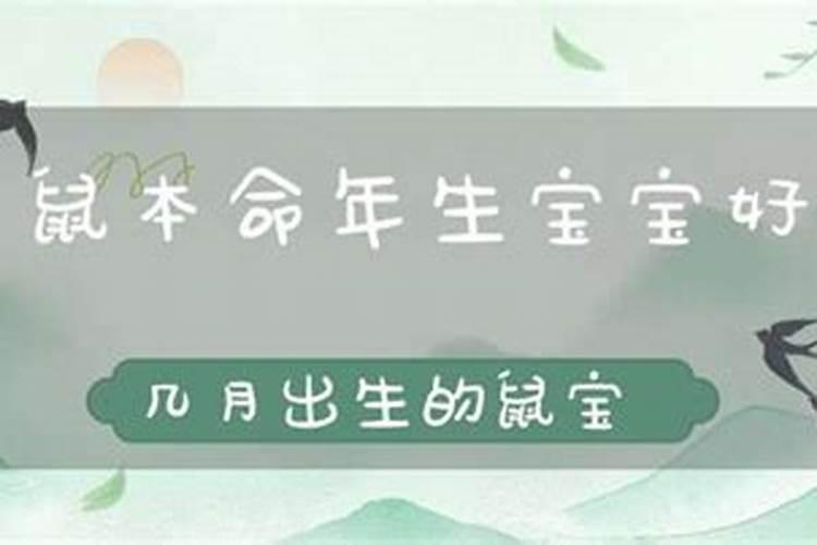 梦见狗往身上扑是什么意思