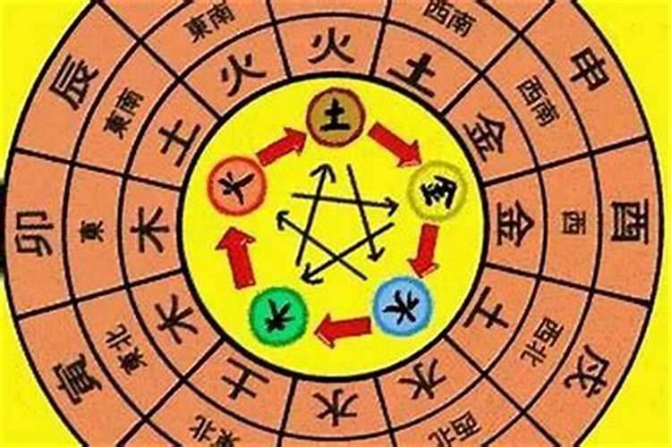 65年的蛇是属火还是木