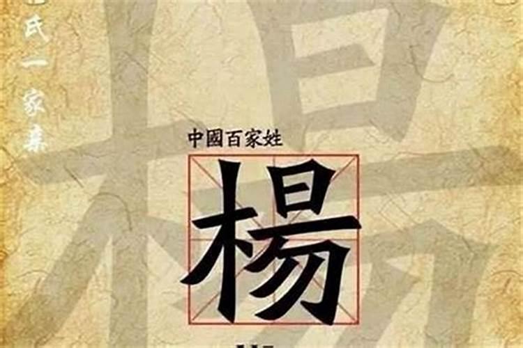 梦见小学的一个女同学