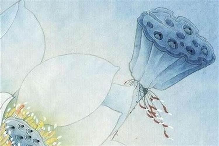 重阳节是插艾草吗