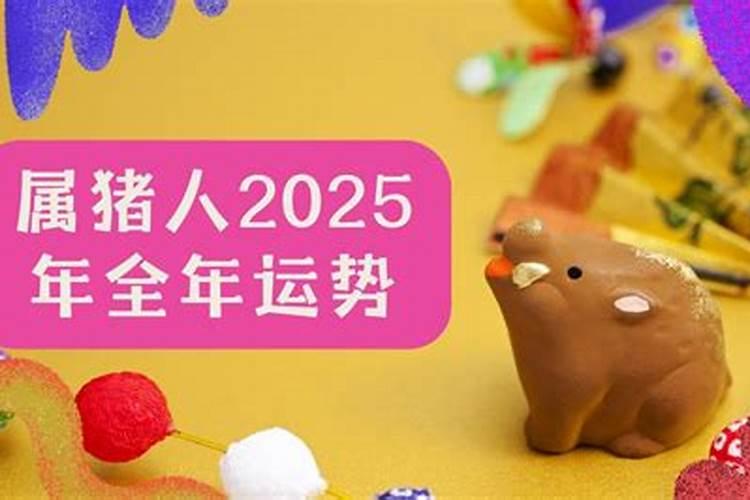2025属猪人的全年运势如何