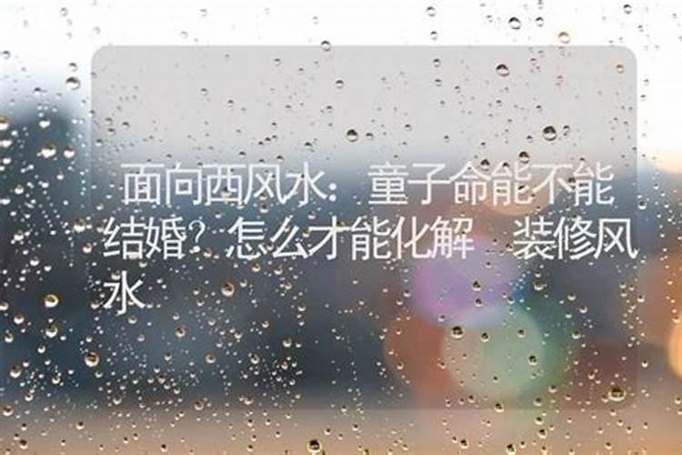 2025年属蛇人全年运势
