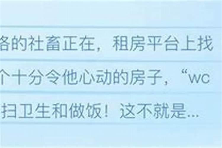 属猪的人2025年运势及运程详解
