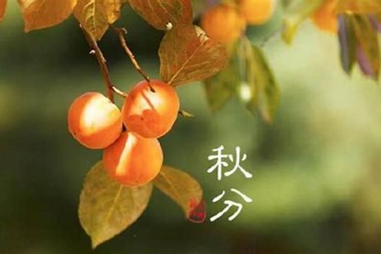 梦见邻居是什么意思好不好