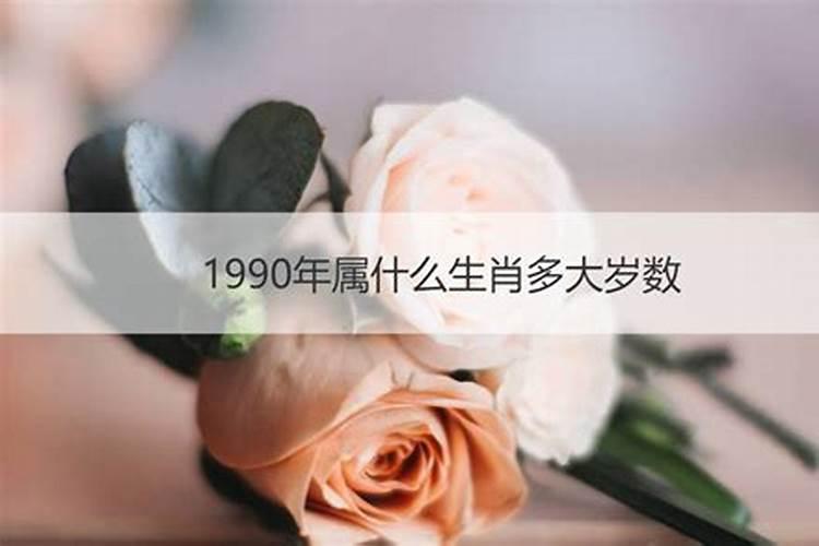本人89年农历8月22日巳时出生,找对象求算命