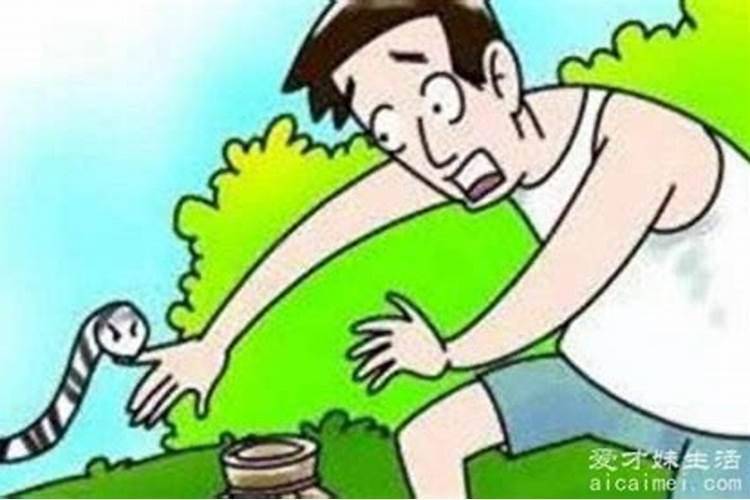 属牛的几月出生最好命阴历,属牛那天出生好
