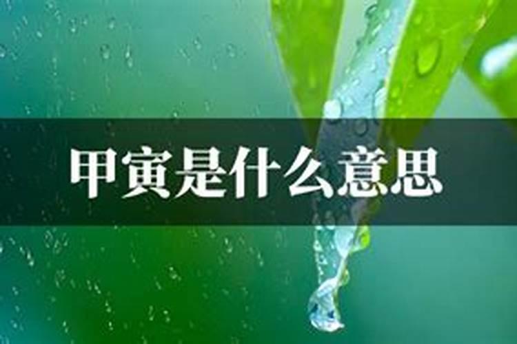 2011年春节(关于2011年春节的基本详情介绍)