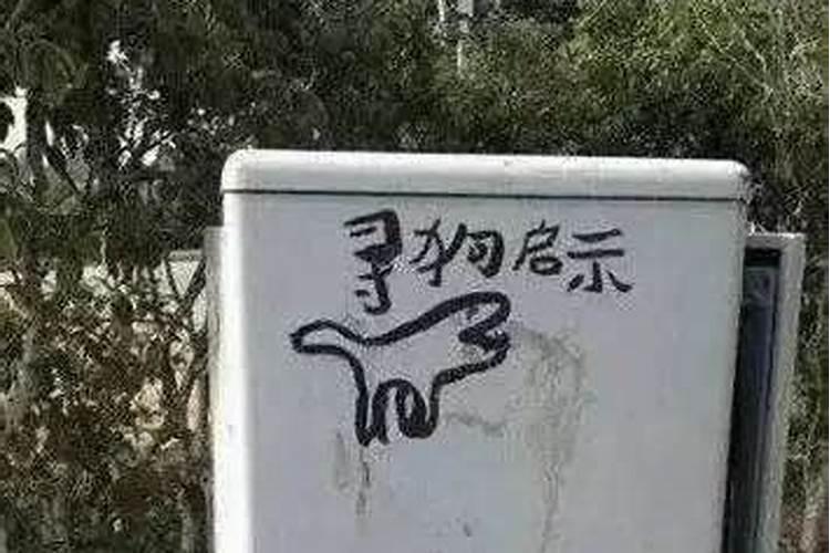 属羊的几月出生最好