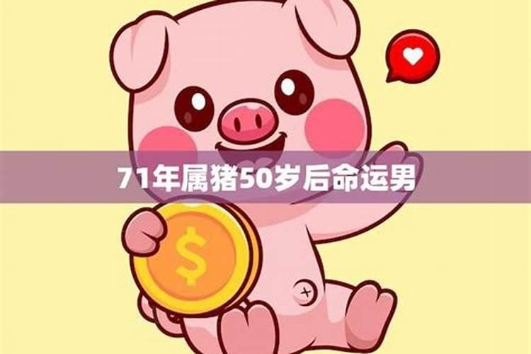 2025属猪人的全年运势