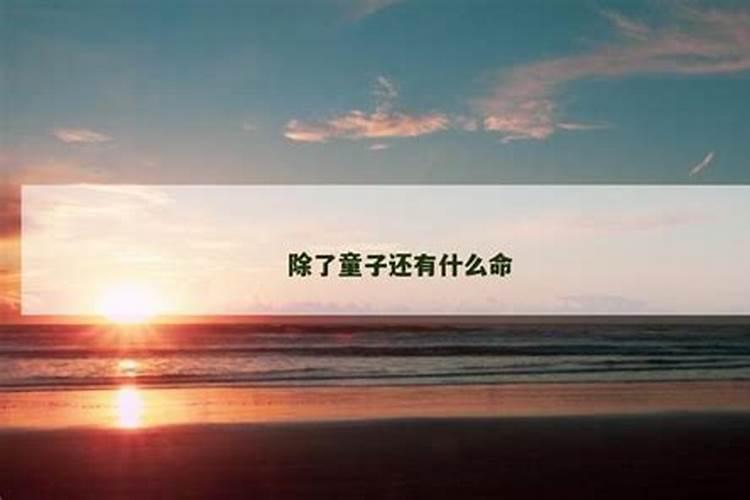 1991年属羊女2025年事业运势