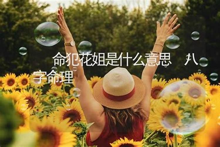 花姐是什么意思