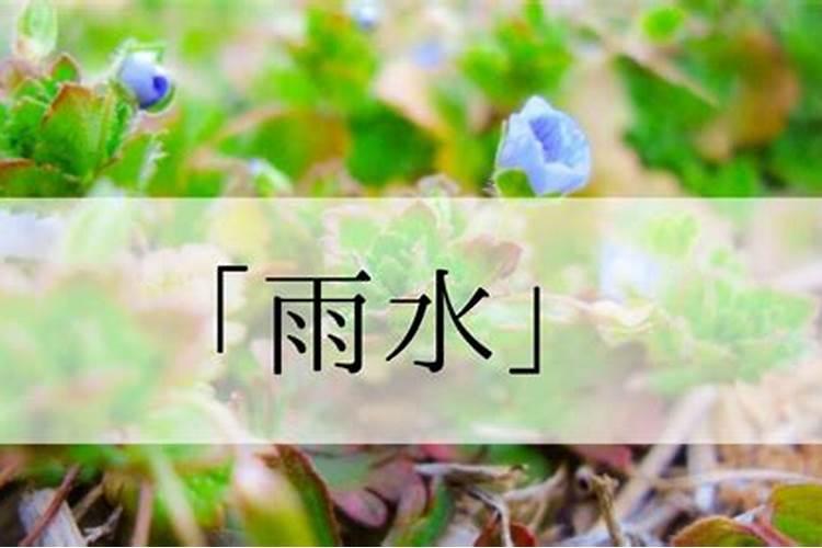 ？2022芒种后九天交运包括当天吗 芒种后九天交运一般是指几点到几点