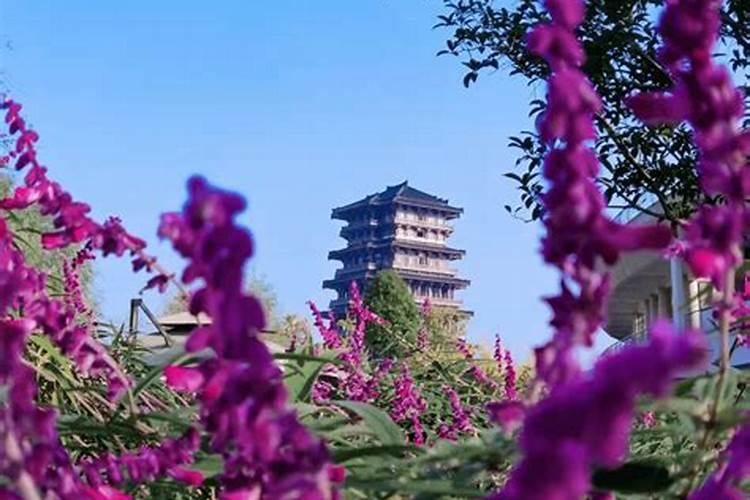 今年清明节想去双塔寺和榆次玩
