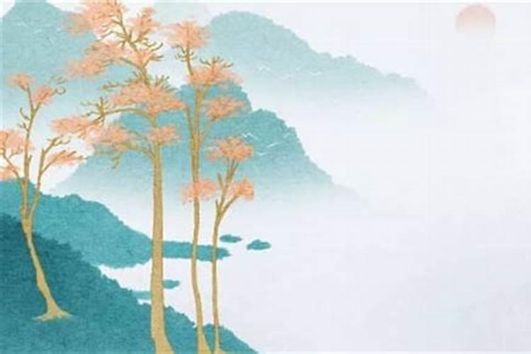81年属鸡人在2025年的全年运势
