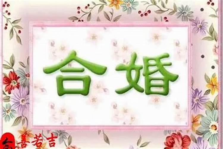 怎么算伴娘属相与新娘相冲,新娘伴娘属相相冲怎么办